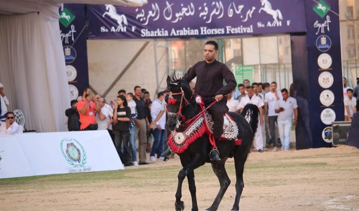 محافظ الشرقية يشهد