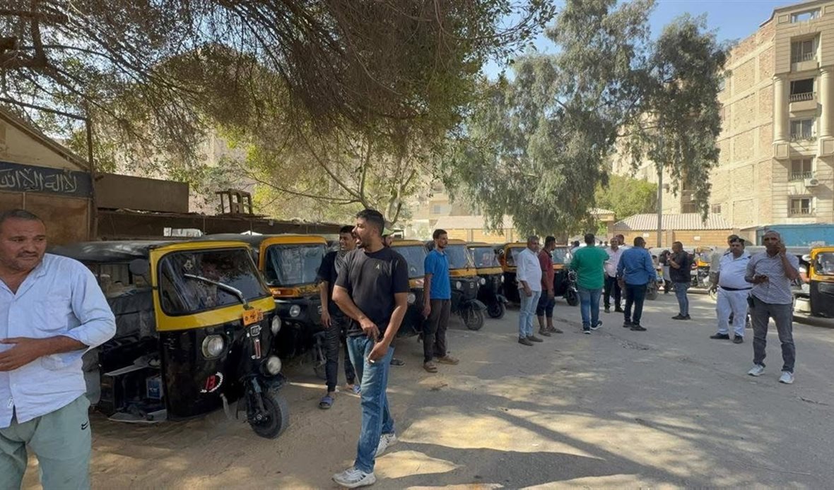 محافظة الجيزة تبدأ