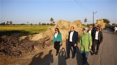 جولة ميدانية مفاجئة لوزيرة التنمية المحلية لمتابعة منظومة جمع قش الأرز بالدقهلية والقليوبية لمواجهة السحابة السوداء