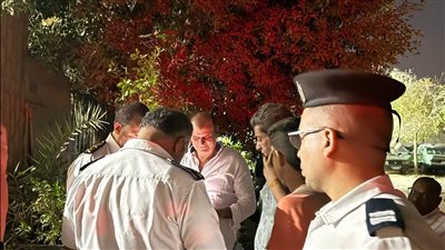 الجيزة توضح تفاصيل العثور على تمساح نيلي صغير بحدائق الأهرام