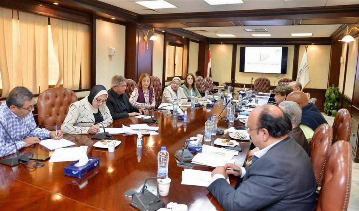 مستقبل الإعلام المصري