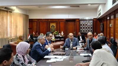 قنا تضع خطة شاملة للتعامل مع الحيوانات الضالة وإنشاء ملجأ بعيدًا عن المناطق السكنية