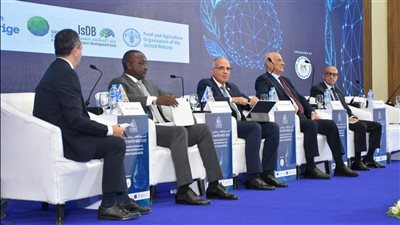 هاني سويلم: الأمن المائي مرتبط بالاستدامة والتمويل المبتكر