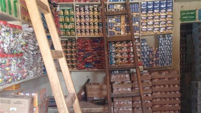 ضبط 24 طن مواد غذائية مجهولة المصدر بحملات تموينية مكثفة في المنوفية
