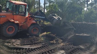 دمياط تشن حملة على مكامير الفحم وضبط مخالفات