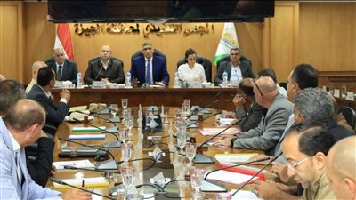 محافظة الجيزة تستعد لانتخابات النواب 2025 بـ 775 لجنة
