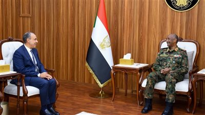 مصر والسودان يؤكدان وحدة الموقف حول النيل
