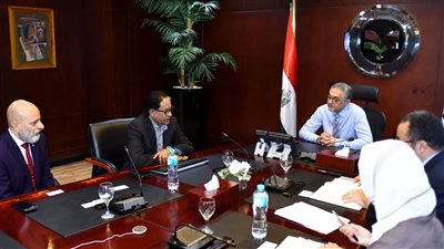 شركة سنغافورية تستثمر 210 ملايين دولار لإنتاج الأمونيا الخضراء في المنطقة الاقتصادية لقناة السويس