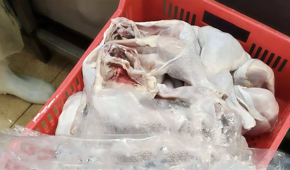الطب البيطري يضبط