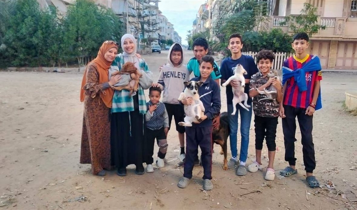 دمياط تكثف جهود مكافحة