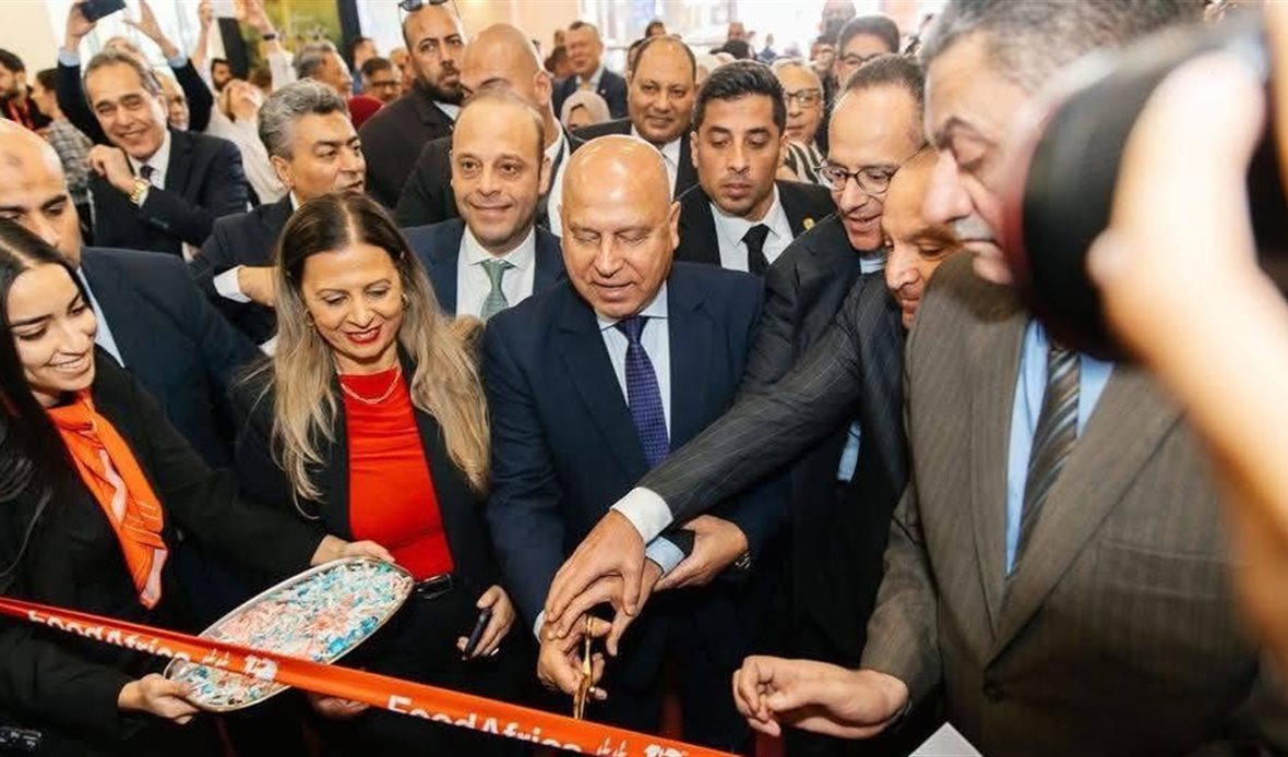 رئيس هيئة تنمية الصعيد