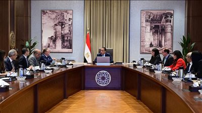 رئيس الوزراء يتابع تنفيذ مشروعات الطاقة الجديدة والمتجددة