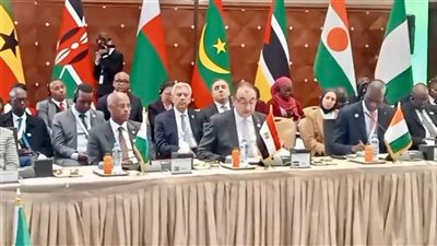 مصر تعلن جاهزيتها لدعم توطين صناعة الدواء في أفريقيا