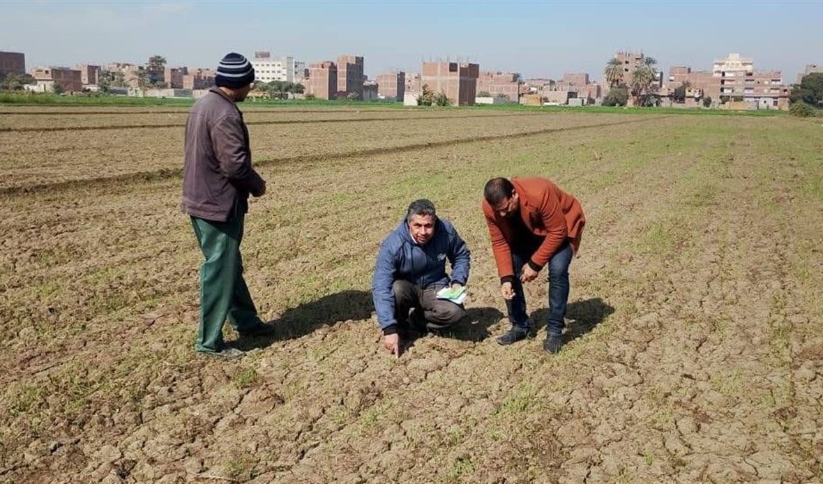 وزارة الزراعة تتابع