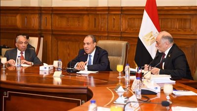 اجتماع بين وزير الخارجية ولجنة حقوق الإنسان بمجلس الشيوخ