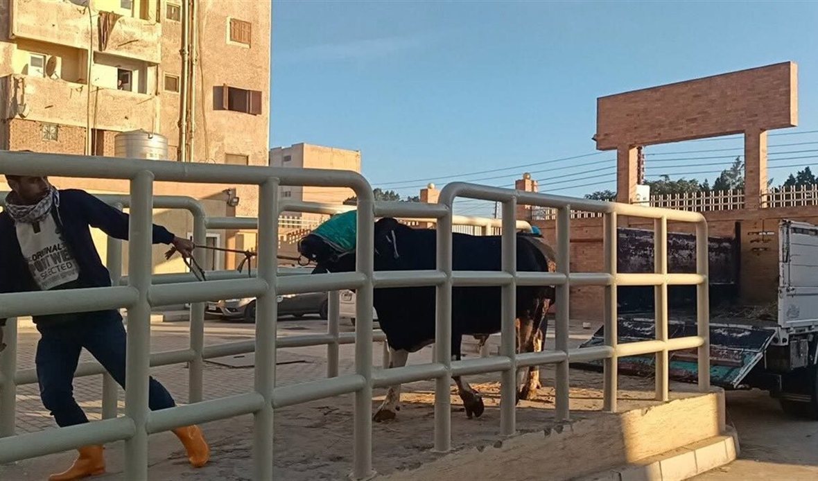 بدء التشغيل التجريبي
