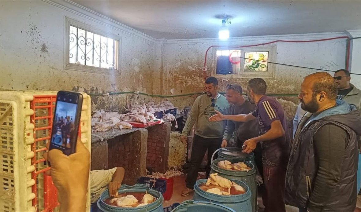 تكثيف الحملات البيطرية
