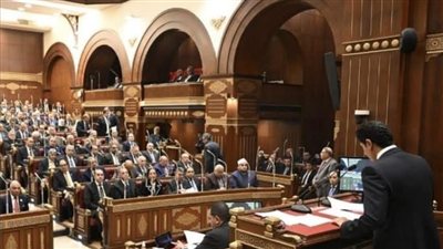 مجلس الشيوخ يناقش تعديل قانون الضريبة العقارية وحماية المعاشات