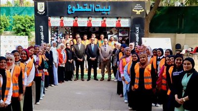 صندوق مكافحة الإدمان: برامج توعوية في 8000 مدرسة و1113 مركز شباب خلال 2025