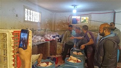 محافظة الجيزة: ضبط 75 طن لحوم ودواجن فاسدة وتحصين نحو 222 ألف رأس ماشية ضد الحمى القلاعية والوادي المتصدع خلال ديسمبر