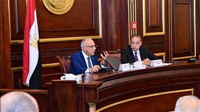 وزير الموارد المائية والري يشارك في جلسة لجنة الشؤون الخارجية بمجلس الشيوخ لمناقشة سياسة مصر المائية