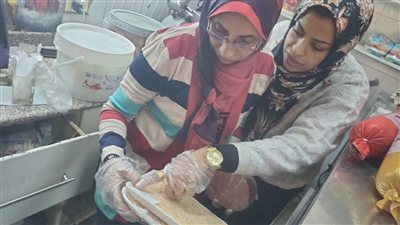 تفاصيل ضبط 58 كيلو لحوم فاسدة في حملة بيطرية بأسواق الأقصر