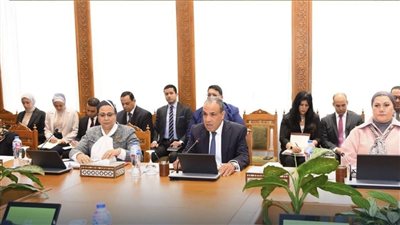 مصر تفوز بعضوية مجلس حقوق الإنسان وتدعم المنظومة الحقوقية