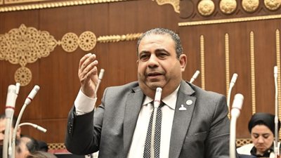 النائب أيمن الصفتي يواجه هيئة التأمين الصحي برغبة عاجلة لوقف معاناة عمال إينوفا للسيراميك وبريات سمنود
