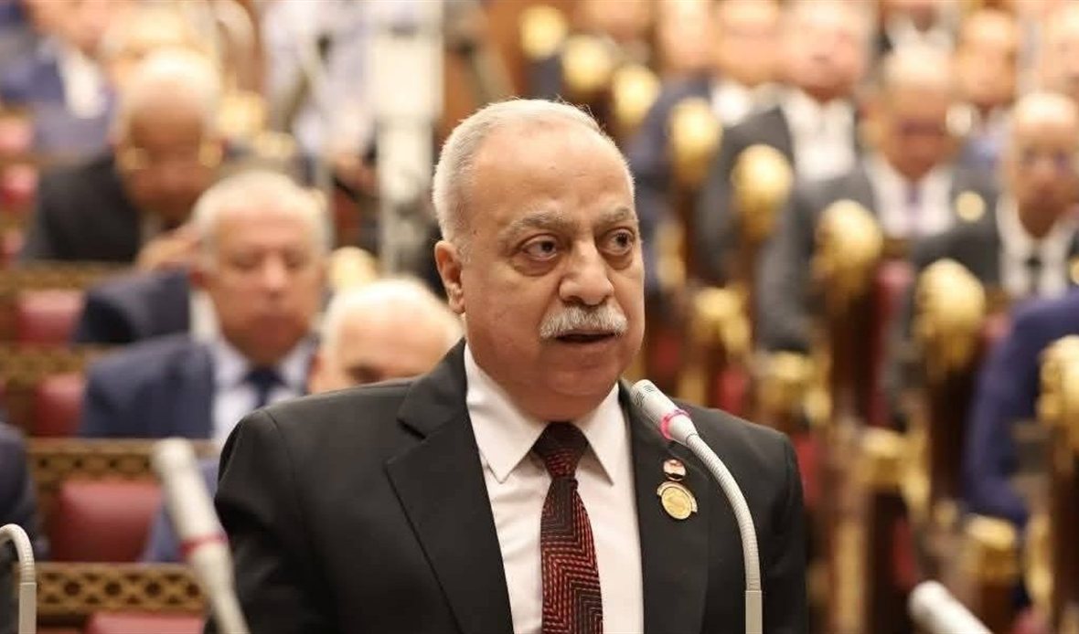 نائب يطالب بإنشاء