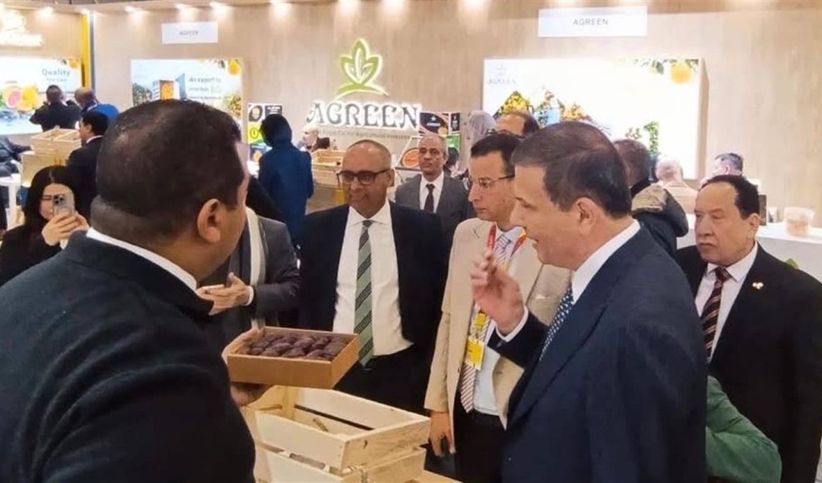 تنظيم المشاركة المصرية