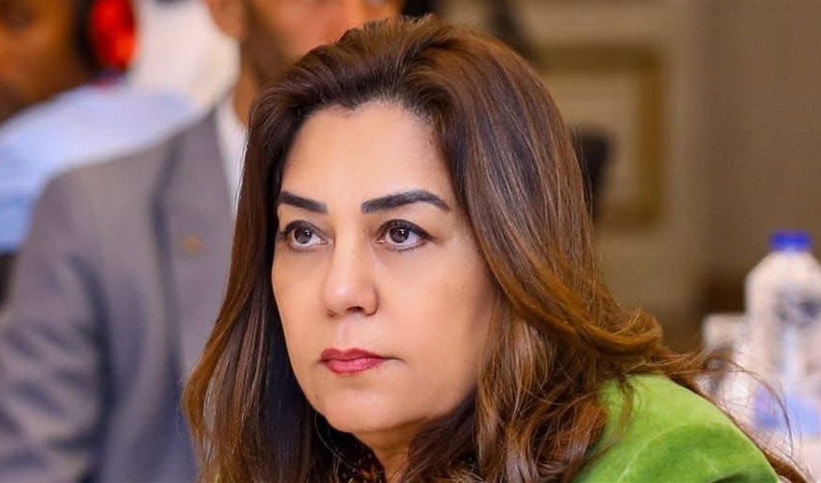  التنمية المحلية