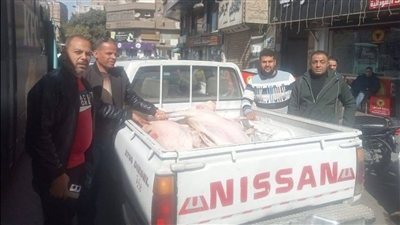 محافظة الجيزة تضبط 26 طنًا من اللحوم والدواجن الفاسدة وتحصن 91 ألف رأس ماشية خلال شهر