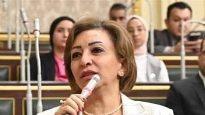 النائبة مها عبد الناصر تطالب بمراجعة أسعار الإنترنت في مصر وتعويض المستخدمين