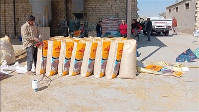 محافظ أسيوط يعلن ضبط مصنع غير مرخص لتعبئة الأعلاف الحيوانية بعرب العوامر