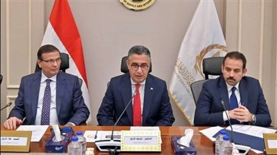 اتفاق ثلاثي لاستيراد دواجن مجمدة وطرحها بالمنافذ قبل رمضان لزيادة المعروض بالسوق