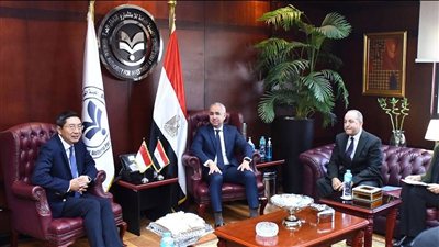 الاستثمارات السنغافورية في مصر تتوسع وتستهدف قطاعات لوجستية وطاقة نظيفة