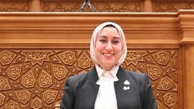 النائبة صافيناز طلعت تطالب الحكومة بكشف خطة مواجهة فيروس هانتا في مصر