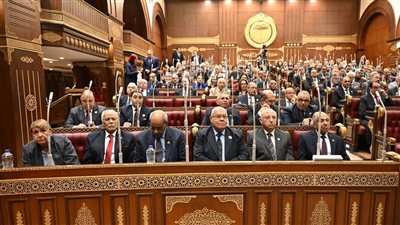 مجلس الشيوخ يناقش الخطة القومية لمكافحة الأورام والعلاج على نفقة الدولة