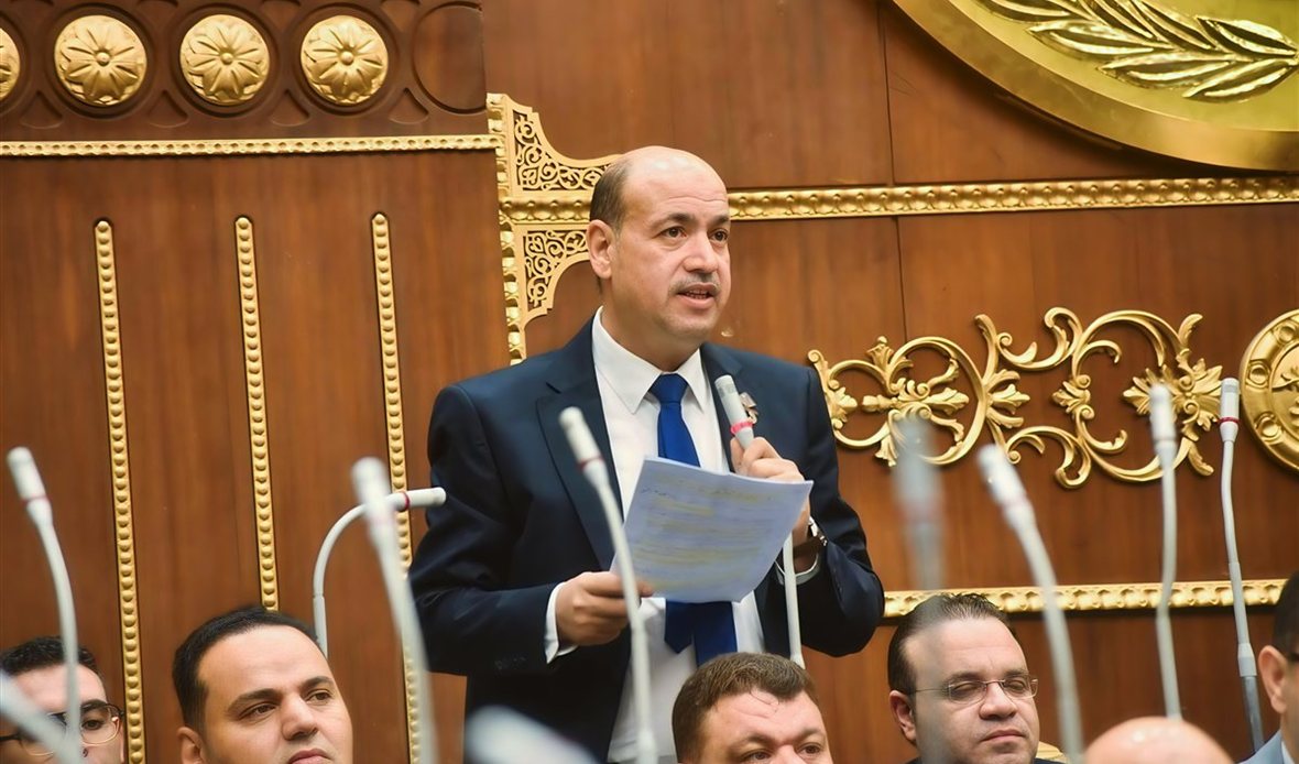 النائب أحمد سيد يطرح