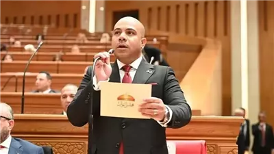 النائب علي خالد خليفة يتقدم بطلب إحاطة بشأن زيادة الرسوم القضائية في مصر