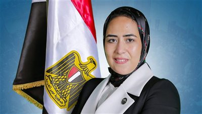 لجنة الصحة بالنواب توصي بإرجاء تنفيذ القرار 868 لسنة 2025 بشأن التركيبات العقيمة ومراجعة ضوابطه.