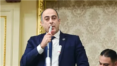 النائب محمد جبريل يتقدم بطلب إحاطة ضد قطع الكهرباء عن عقارات كاملة في الإسكندرية