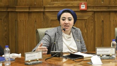 النائبة أميرة صابر تحذر من غياب منظومة صناعة الأبطال في مصر