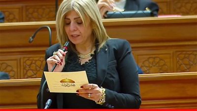 النائب أميرة فؤاد تتقدم باقتراح برغبة لمواجهة الإدمان الرقمي وحماية الشباب
