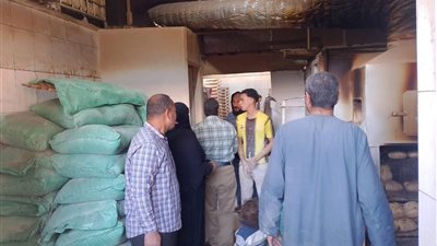 حملات تفتيشية بالمنوفية تسفر عن تحرير 96 محضرًا وإعدام سلع منتهية الصلاحية بالشهداء وأشمون
