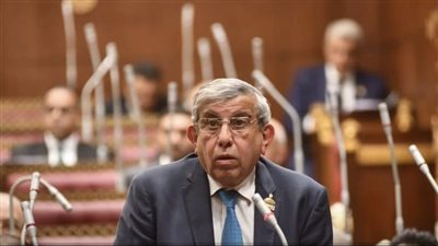 النائب علاء عبد النبي يحذر من موجة غلاء مرتقبة بعد تحريك أسعار البنزين ويطالب الحكومة بزيادة الأجور