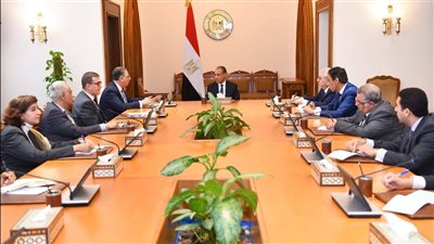 وزير الخارجية يوجه بتكثيف متابعة أوضاع المصريين بالخارج وتيسير الخدمات القنصلية
