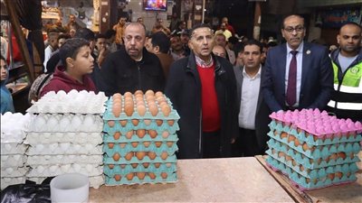 حملة مفاجئة لجهاز حماية المستهلك بالقليوبية تضبط 9 مخالفات بالأسواق