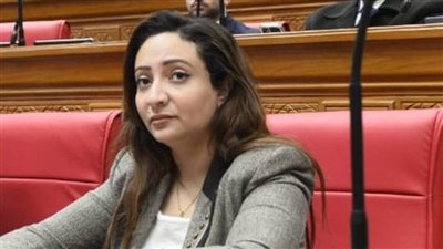 كريستينا عادل تطالب بزيادة تكليف الأطباء لتحسين الخدمات الصحية في أسيوط