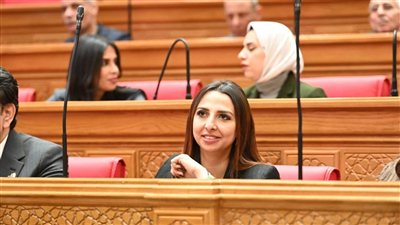 النائبة نشوى الشريف تطالب الحكومة بمراجعة تعريفة كهرباء العدادات الكودية